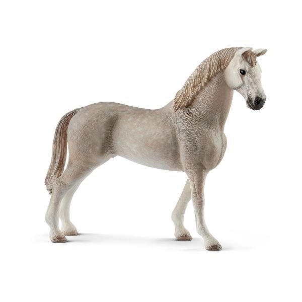 CAPON HOLSTEINER (CABALLO)